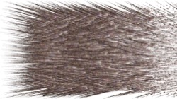 chuck's shooting stars :: proceduralparticlepath4