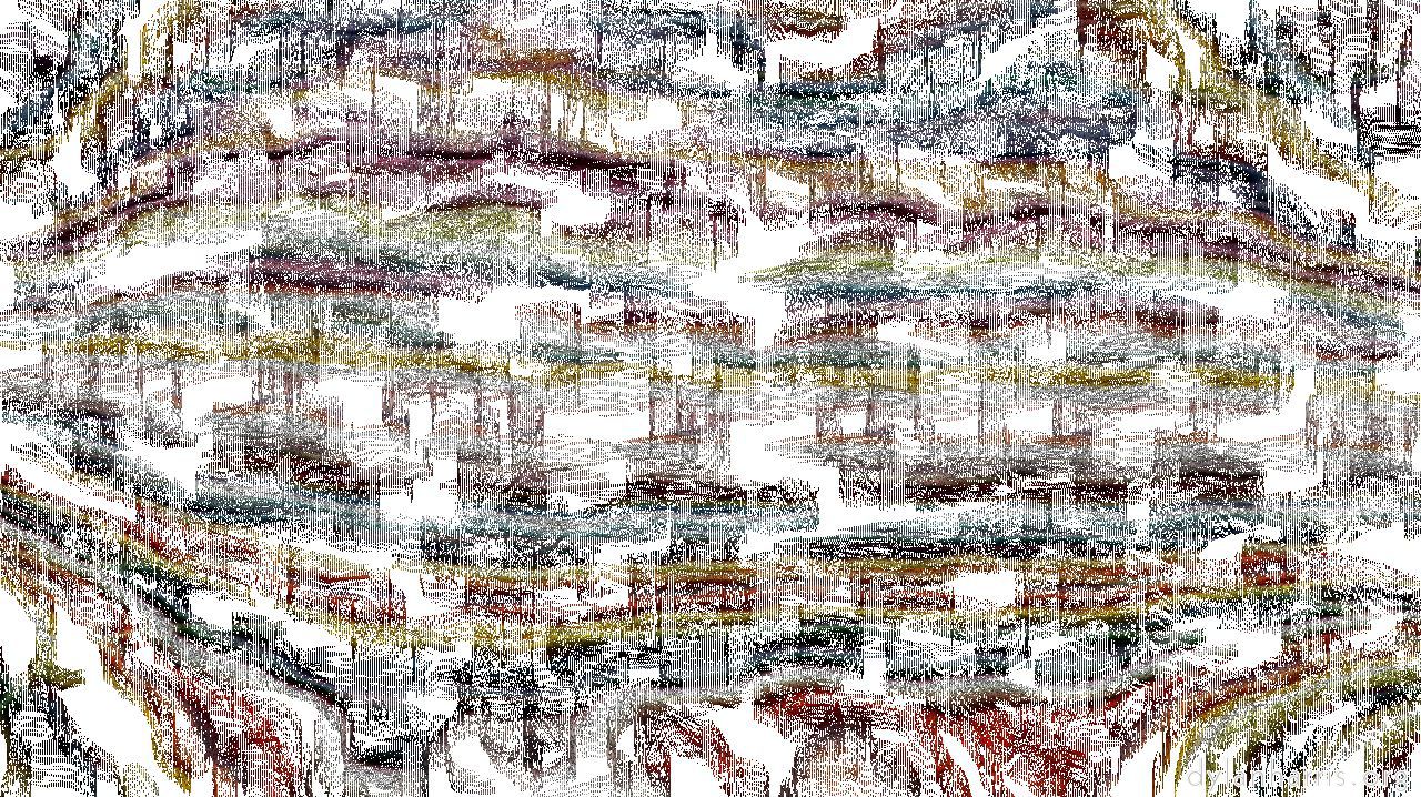 stain2