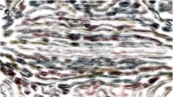 creative mac charcoal rubbing :: rubbing5