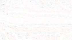 mark's thrill me :: paintoverphotocopy