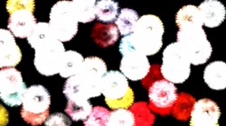 nagal series 03 :: explosion2
