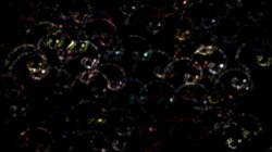 nagal series 03 :: spiralgalaxy