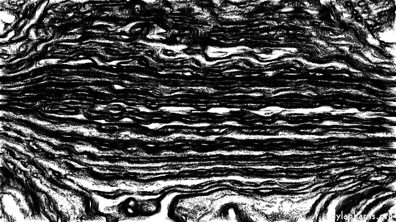 ns4pp1roughsketch1