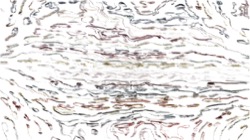 nagal series 04 :: ns4pp1coloursketch3