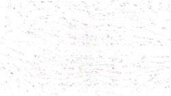 nagal series 04 :: ns4pp1lightsketch2