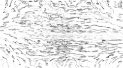 nagal series 04 :: ns4pp1monosketch3
