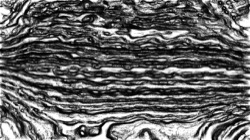 nagal series 04 :: ns4pp1pencil5