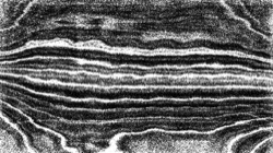 nagal series 04 :: ns4pp1pointille1
