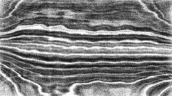 nagal series 04 :: ns4pp1pointille2