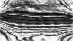 nagal series 04 :: ns4pp1pointille3