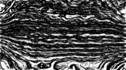 nagal series 04 :: ns4pp1roughsketch1