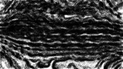 nagal series 04 :: ns4pp1roughsketch2