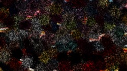nagal series 06 :: ns6twowaysplatter1
