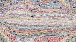 nagal series 08 :: drybristles5