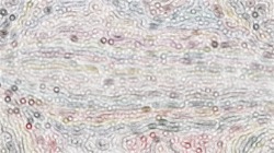 nagal series 08 :: hollowbristles1