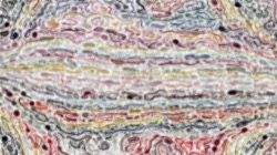 nagal series 08 :: softbristles4