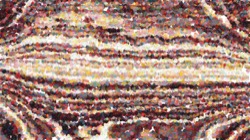 nagal series 11 liquid :: frothy1