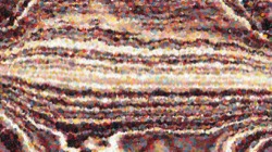 nagal series 11 liquid :: frothy2