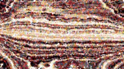 nagal series 11 liquid :: runny3