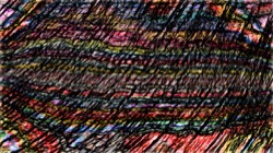 nagal series 13 :: sketchfullscreen