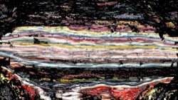 nagal series 13 :: wavedistrot1