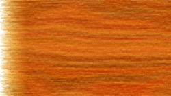 nagal series 14 :: oilpastel2