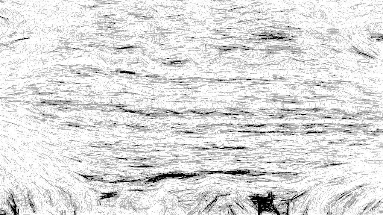 image: aaa tucker :: pencilrough3
