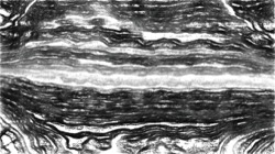 tablet demo 1 :: detailer1
