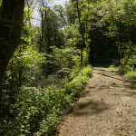 image: Image from the photoset &lsquo;esch/uelzecht (lxxvii)&rsquo;.