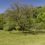 image: Image from the photoset &lsquo;esch/uelzecht (lxxvii)&rsquo;.