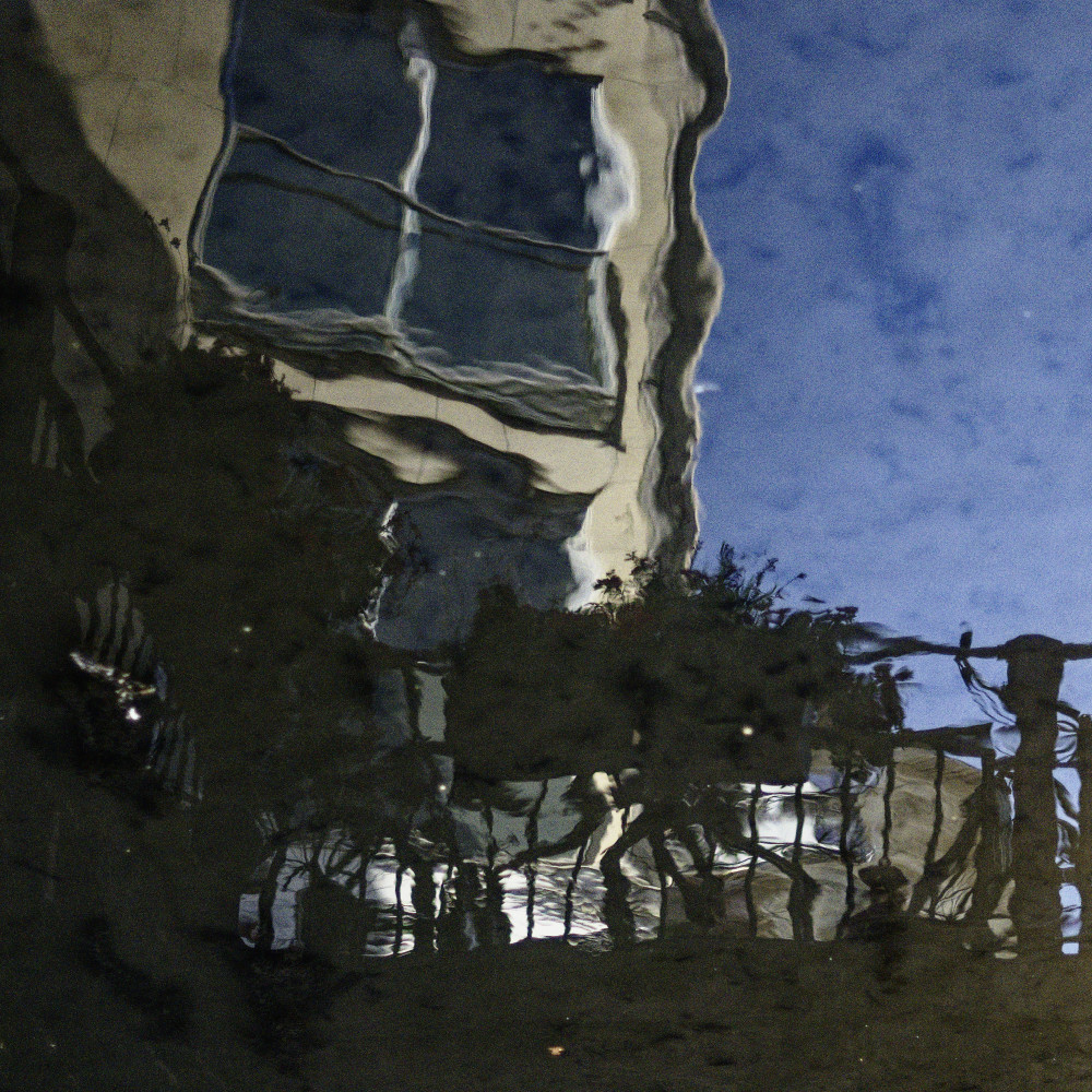image: This is &lsquo;colmar (i) 4&rsquo;.